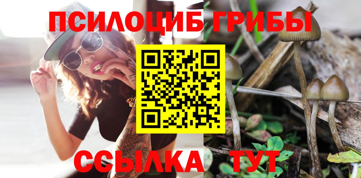 Галлюциногенные грибы прущие грибы  Вход с VPN  Сертолово 